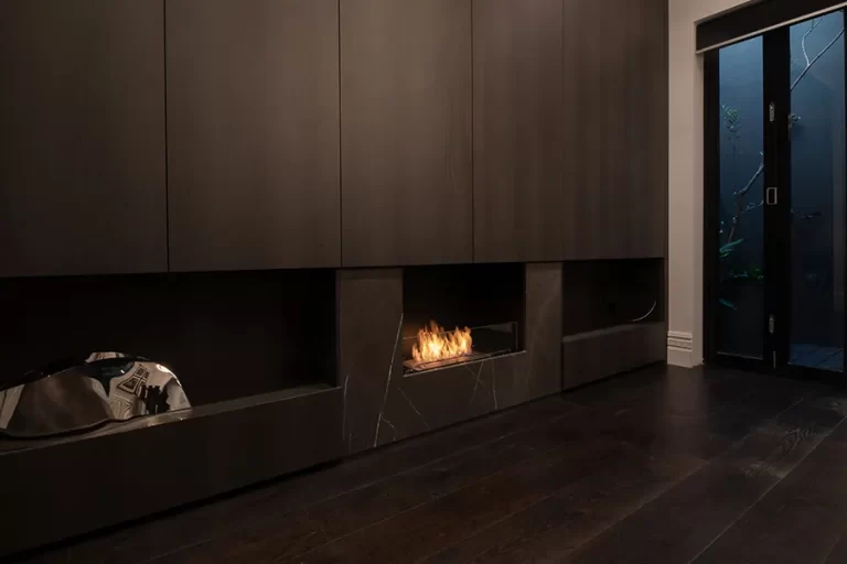 Ecosmart Flex
