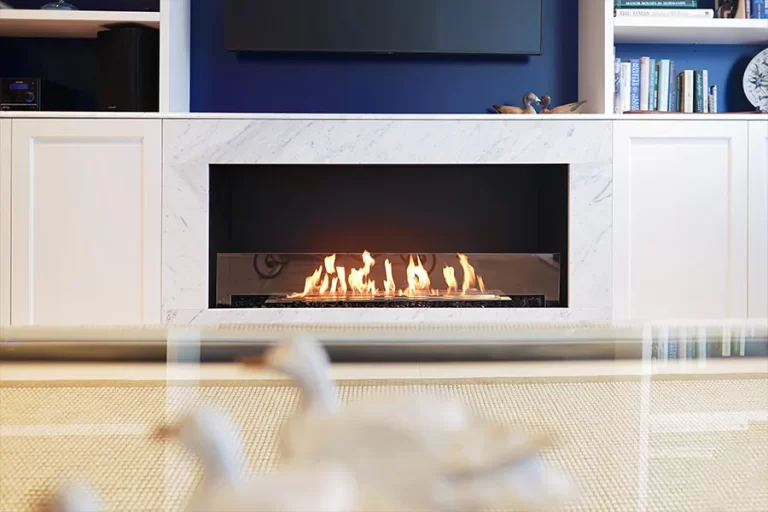 Ecosmart Flex