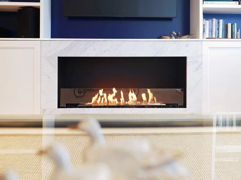 Ecosmart Fire Flex Series bioethanol